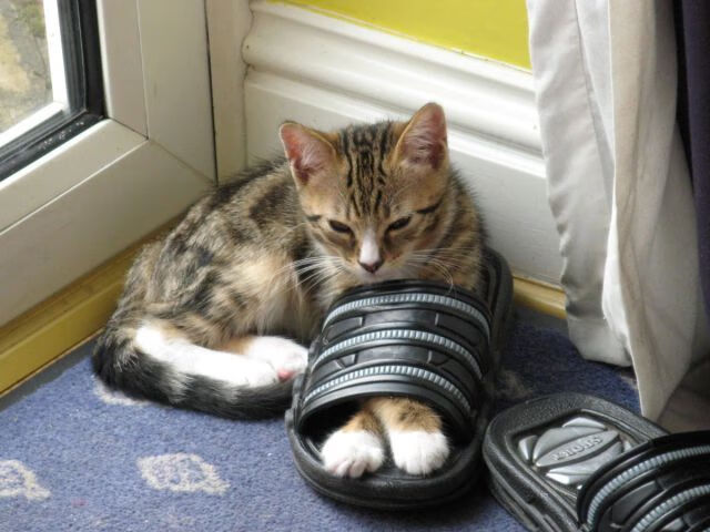 死神降临！哈登终场11.2秒绝命三分击穿标靶中心，湖人惊险带走胜利