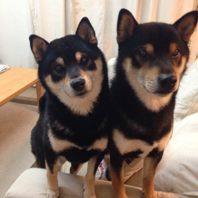 佩德里一剑封喉！拉齐奥梦碎第93分钟，足球的残酷与美在此刻定格